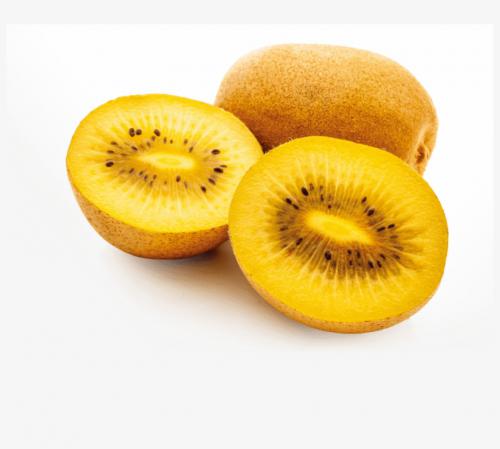 the Best Yellow Kiwi  For Export