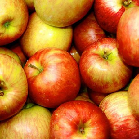 the Exporting Price of Persian Apple