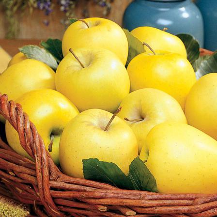 What Do Golden Apples Taste Like?