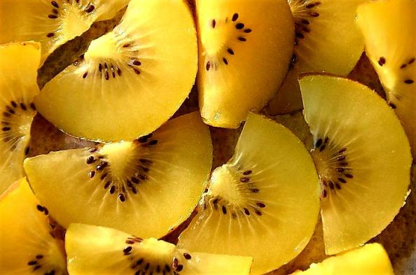 The Best Suppliers of Golden Kiwi 