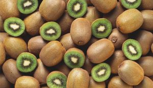 Kiwifruit orchard for sale