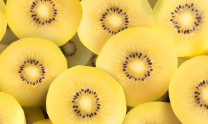 Kiwifruit yellow 