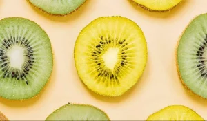 Kiwifruit yellow