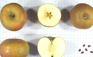 Ashmead’s kernel apple trees for sale