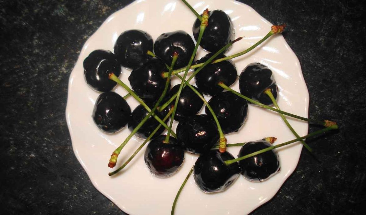 Large black cherry manufacturers