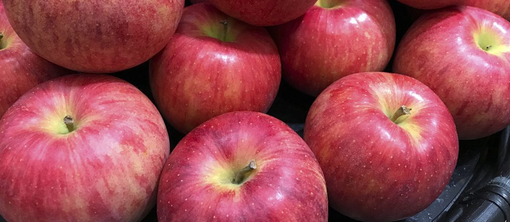  The price of Fuji Apple + purchase and sale of Fuji Apple wholesale 