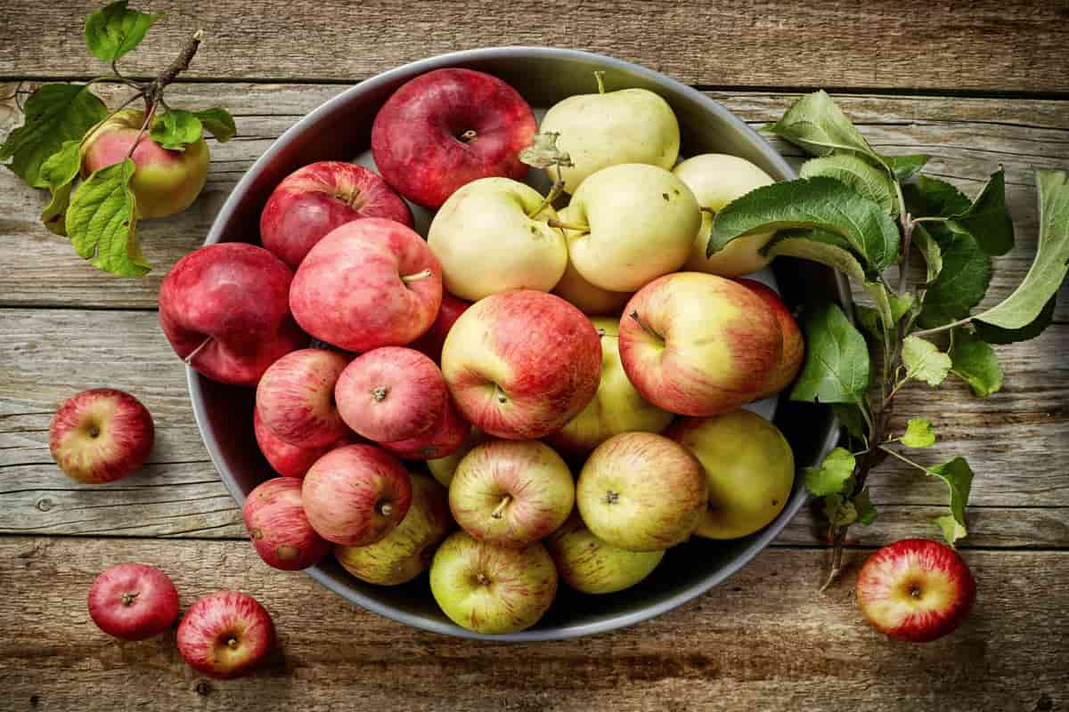  apple fruit market | Bulk purchase price and retail 