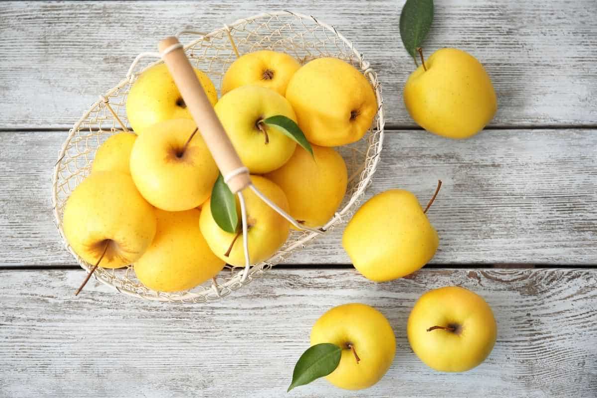  Yellow Apple in India; Golden Peels Reduce Blood Sugar Levels Ability 