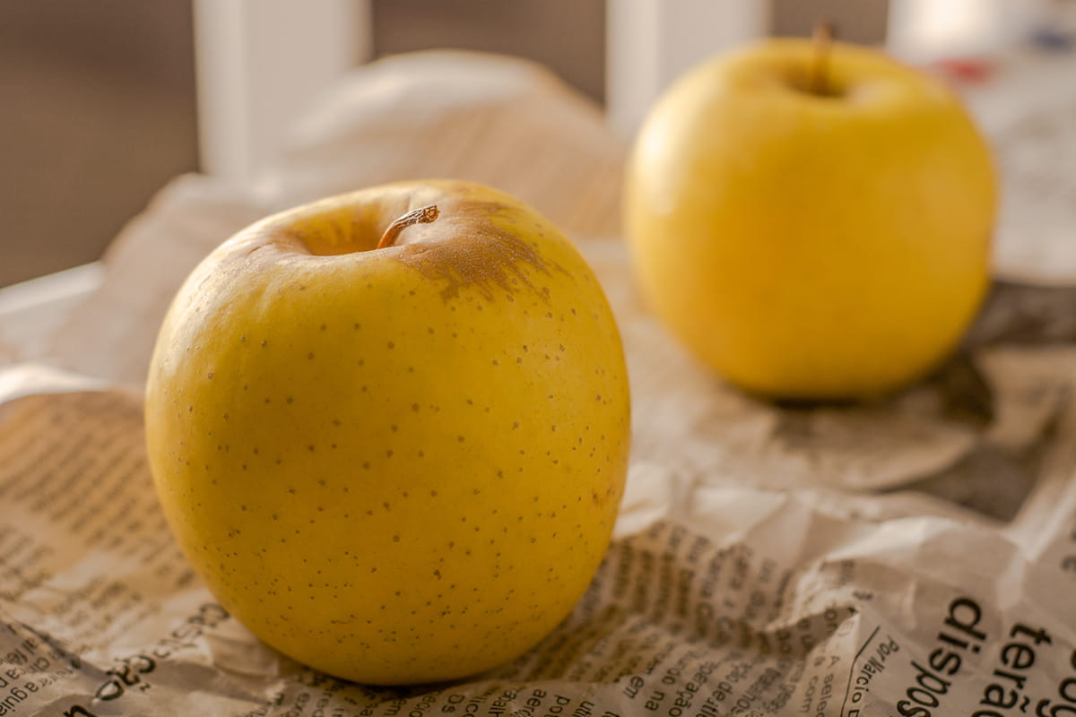  Yellow Apple in India; Golden Peels Reduce Blood Sugar Levels Ability 