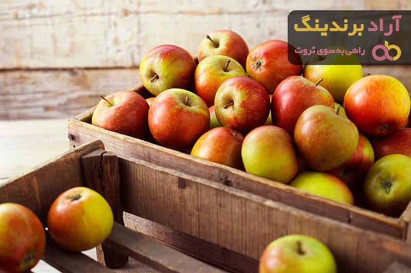  Apple Fruit Box Price 