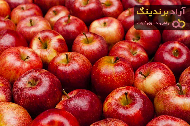  Red Gala Apple Price 