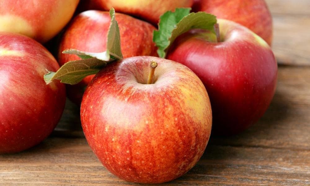  Apple Sugar Content ( Lowest & Highest Apples Ranked ) 