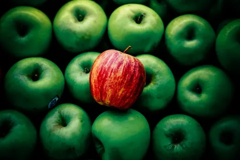  Getting To Know Green apple +The exceptional price of buying Green apple 