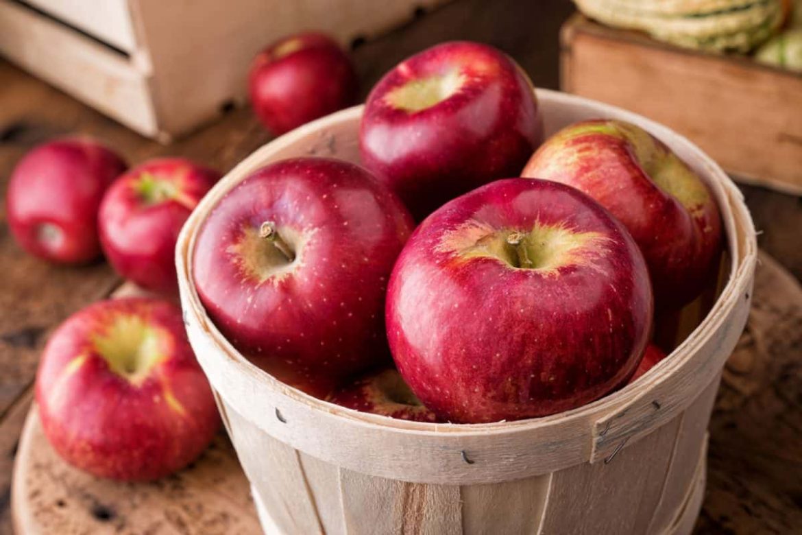 Buy Organic Red Delicious Apples at an Exceptional Price