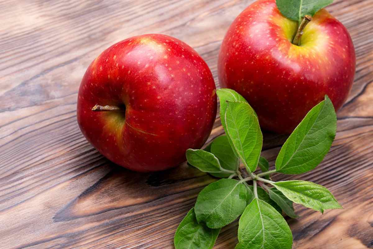  Buy Organic Red Delicious Apples at an Exceptional Price 