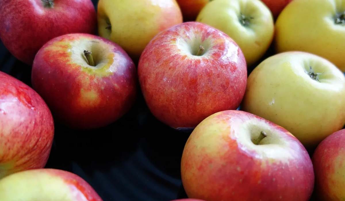  Longfield Apple Fruit Price List in 2023 