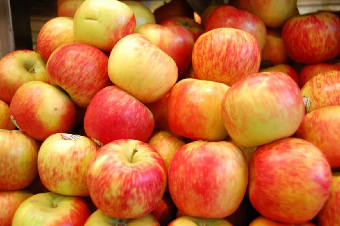 Buy and the Price of All Kinds of Scrumptious Gala Apple