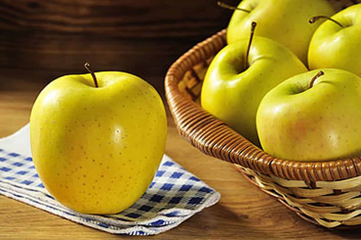  Yellow Honeycrisp apple you can purchase online 