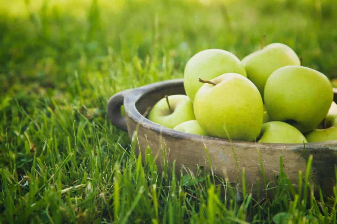 Purchase price Organic Apples + advantages and disadvantages