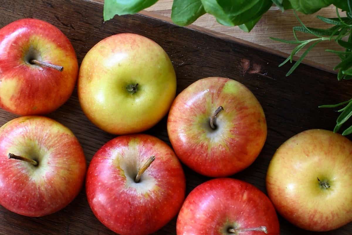  Purchase price Organic Apples + advantages and disadvantages 