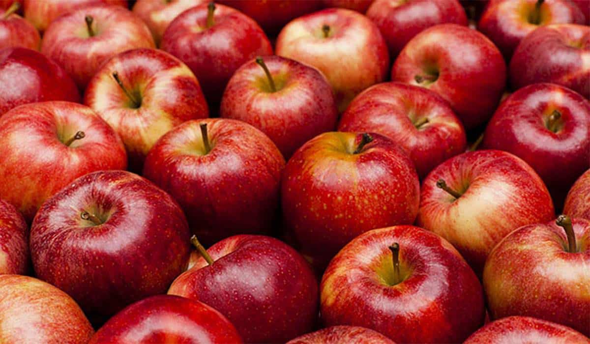  Sweet Sixteen Apples Price List in 2023 