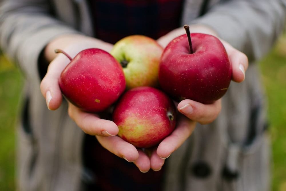  How to pick a good red delicious apple 