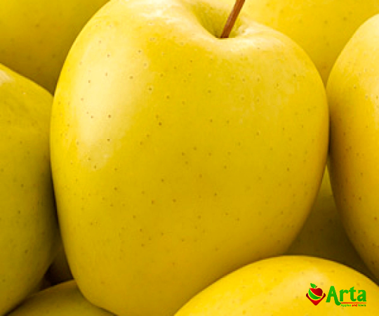 large yellow apple like fruit + best buy price