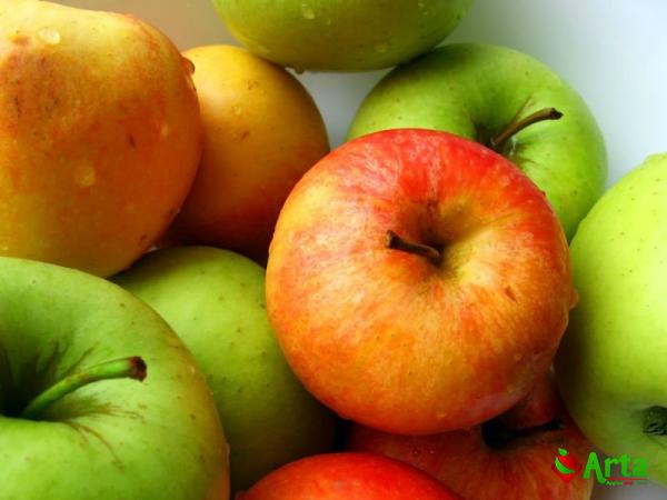 dark green apple fruit purchase price + quality test