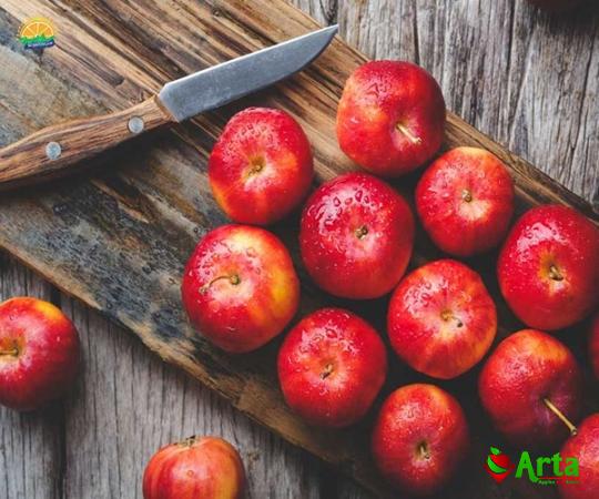 Buy cheap red apple fruit + best price