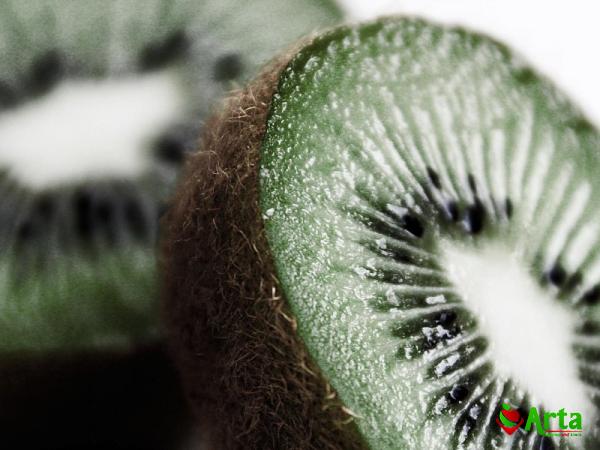 dark green kiwi purchase price + quality test