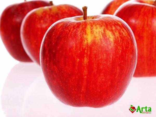Buy red apple devil fruit at an exceptional price