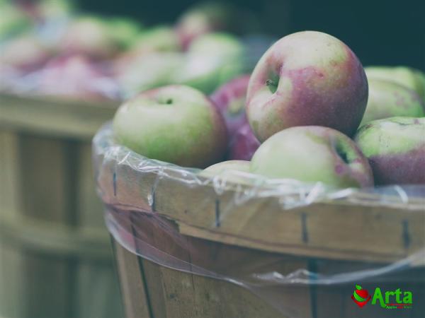Buy dutch apple fruit types + price