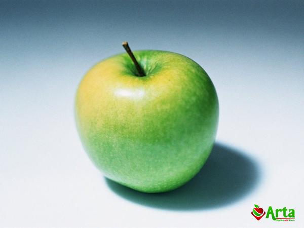 Buy retail and wholesale yellow-green applesye price