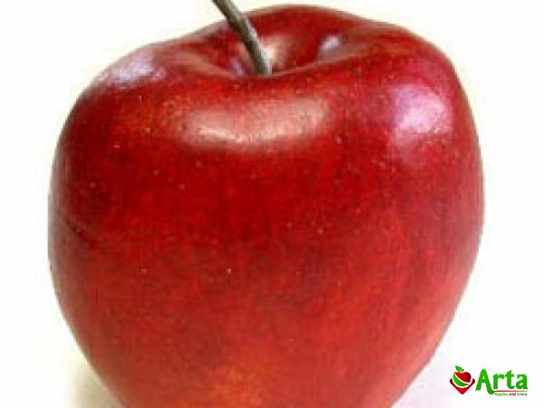 Buy the latest types of bell apple fruit