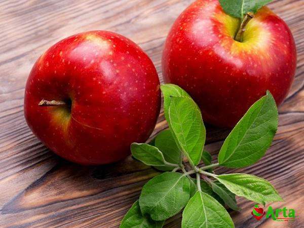 Buy retail and wholesale medium red apple price