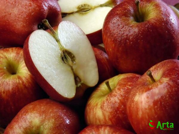 red yellow and green apples | Reasonable price, great purchase