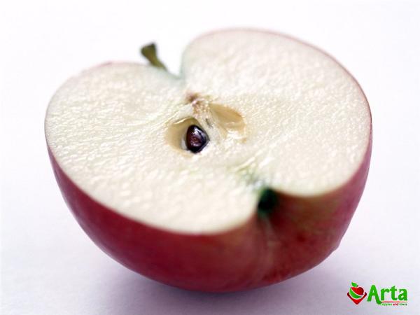 Price and buy red apple pear fruit + cheap sale