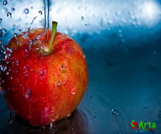 Buy retail and wholesale red apple fruit price