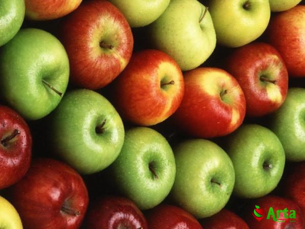 Purchase and price of green red apple fruit types