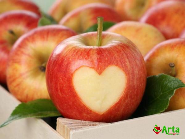 Purchase and today price of medium red apple