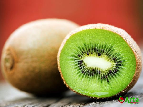 Buy green kiwi fruitgreen kiwi fruit + great price with guaranteed quality
