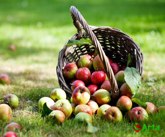 Buy red apple bc fruit + best price