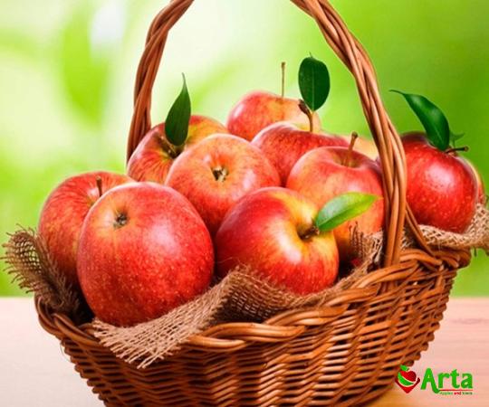 Buy retail and wholesale apple red fruit price