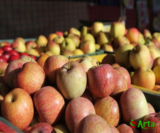 Buy apple fruit red hd + best price