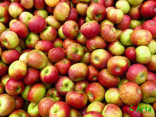 Purchase and today price of cherry apple fruit