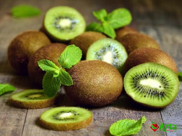 Buy retail and wholesale blue kiwi fruit price