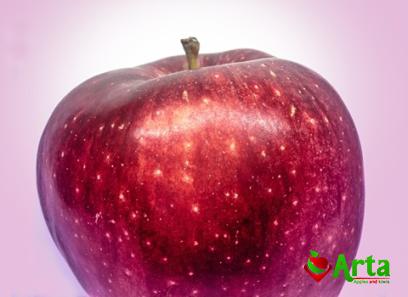 sweetest red apple price + wholesale and cheap packing specifications