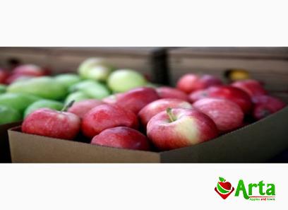 The purchase price of pink lady apples south africa