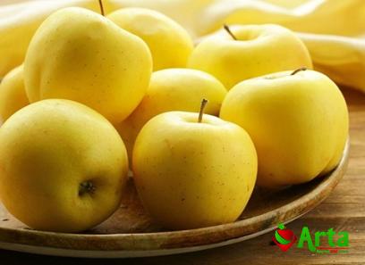 green apple vs yellow apple + best buy price