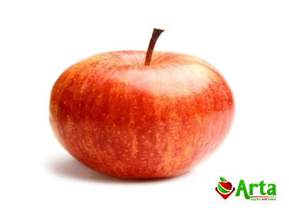 Buy best sweet apple for eating + best price